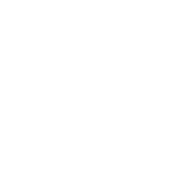 TERRA CLOUD